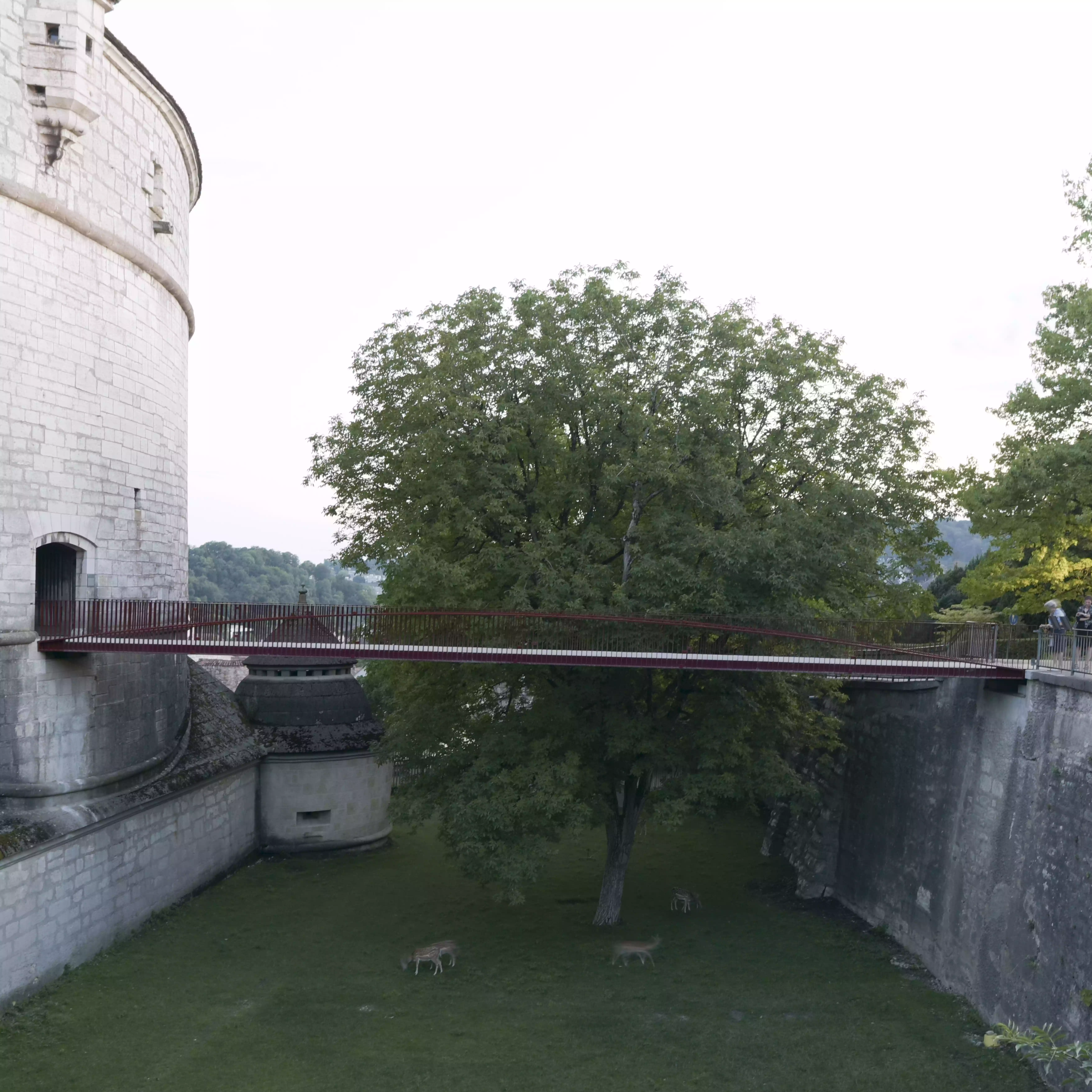 Foto neue Br&uuml;cke Munot