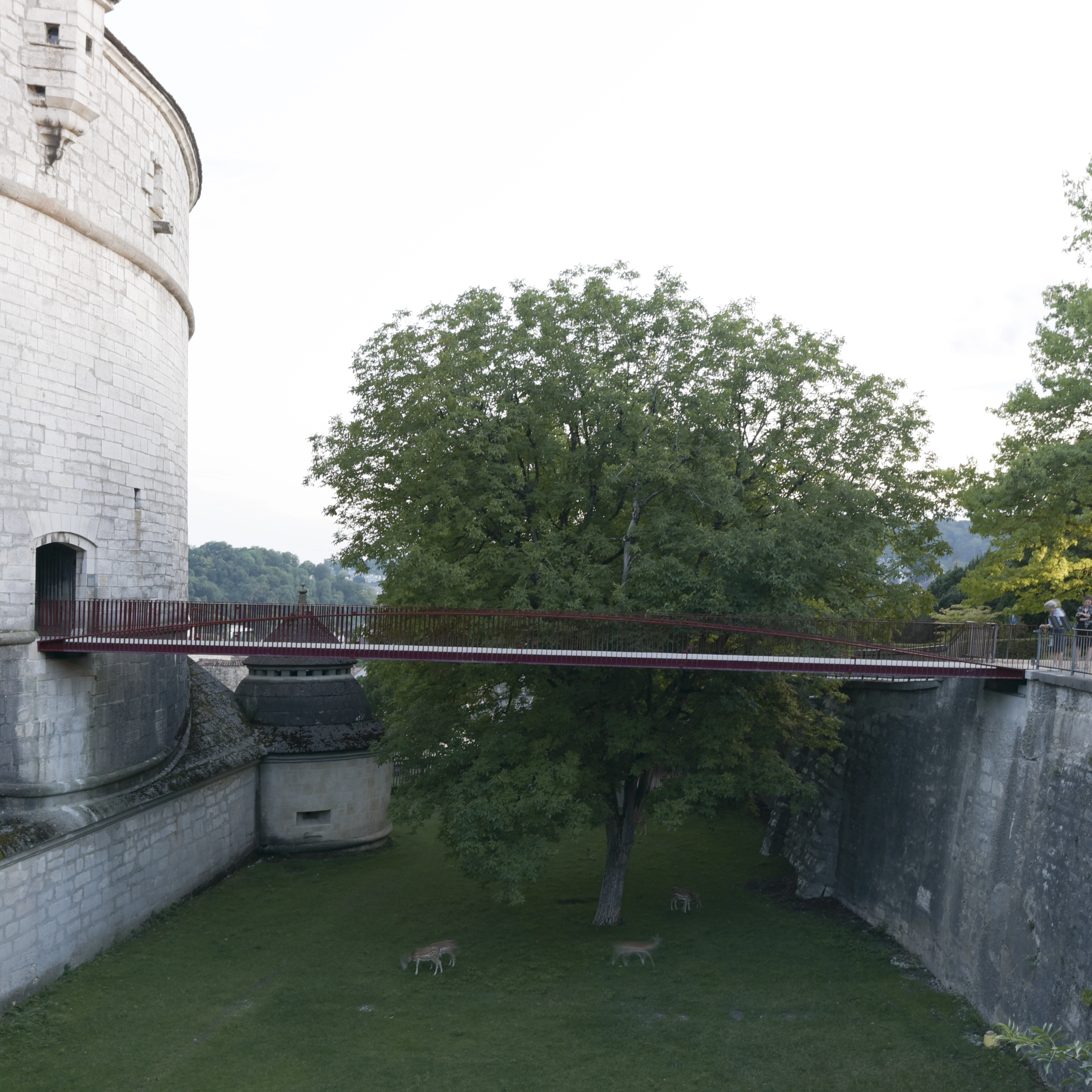 Foto neue Br&uuml;cke Munot
